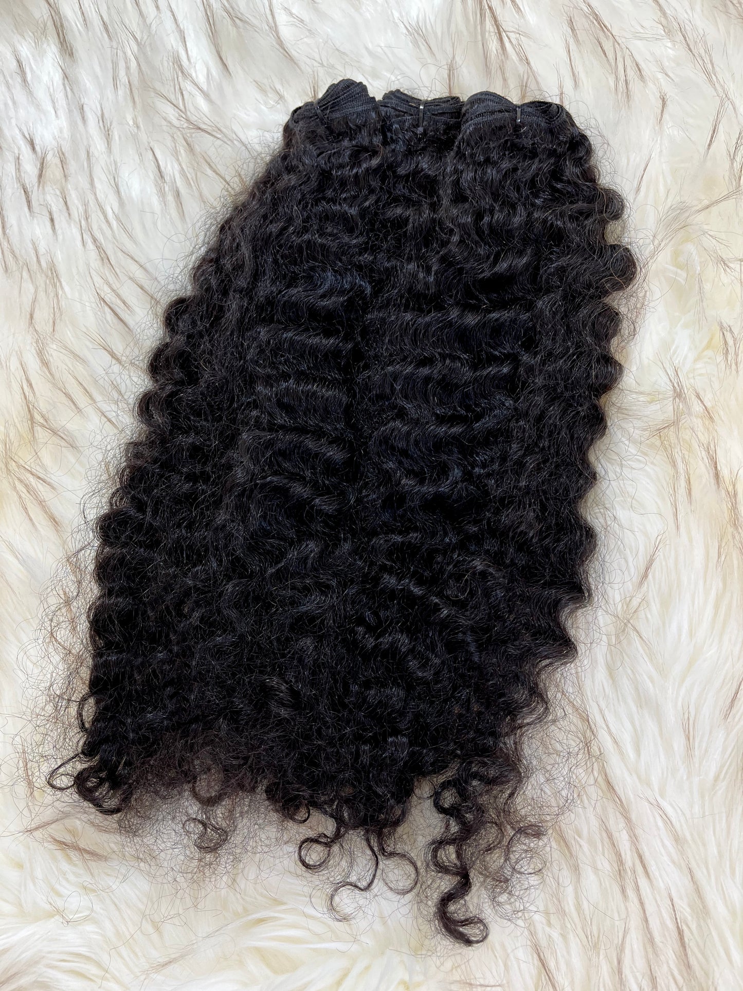 Raw Burmese Curly